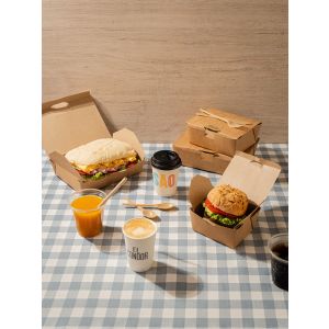 CAJA DELIVERY DARNEL KRAFT 49OZ - 1450ML (21*18.5*5) *50UNID.
