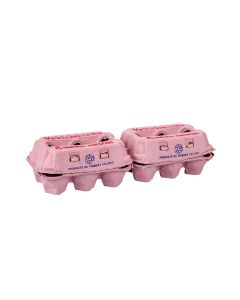 ESTUCHE PARA HUEVOS (2 CAJAS PARA 6 HUEVOS) (306) CARTON *120UNID